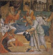 LUINI, Bernardino Birth Maria china oil painting artist